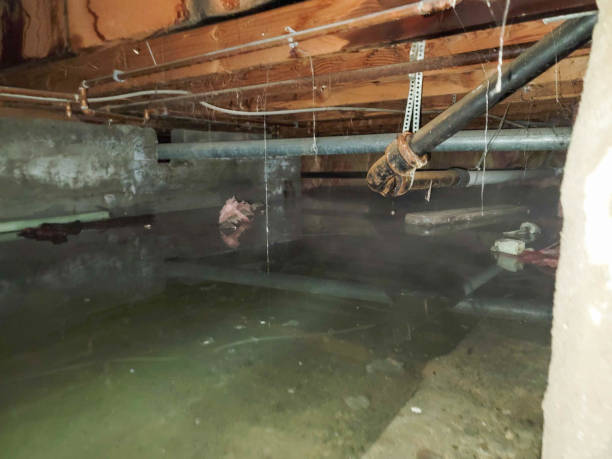South Bend, IN Water damage restoration Company