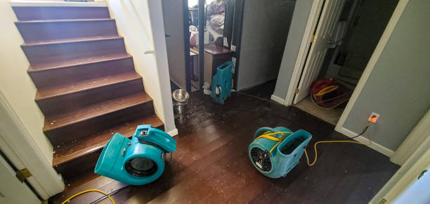 Best Mold removal after water damage  in South Bend, IN