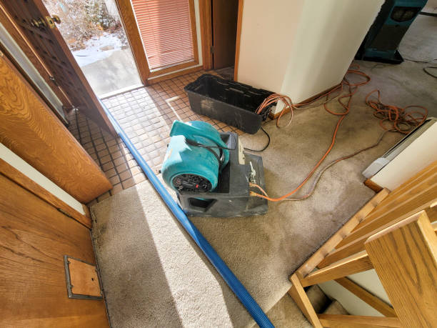Best Commercial water damage restoration  in South Bend, IN