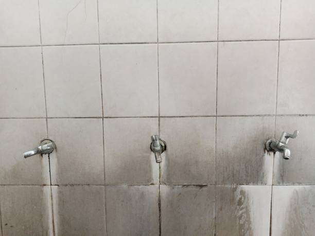 Best Water damage restoration near me  in South Bend, IN