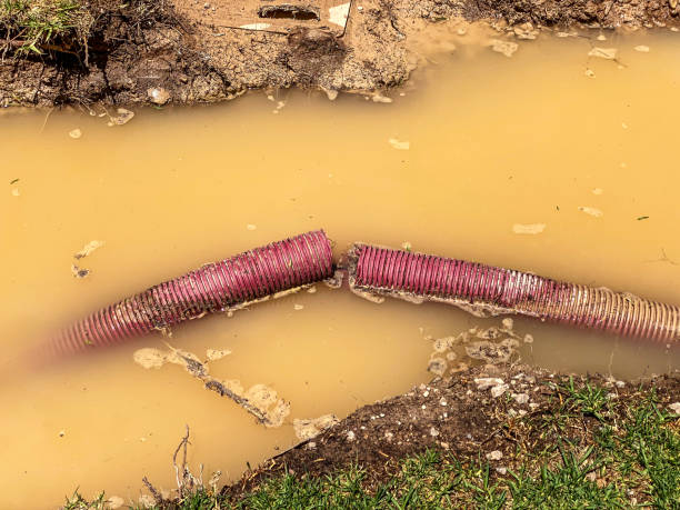 Sewage cleanup and water damage restoration in South Bend, IN